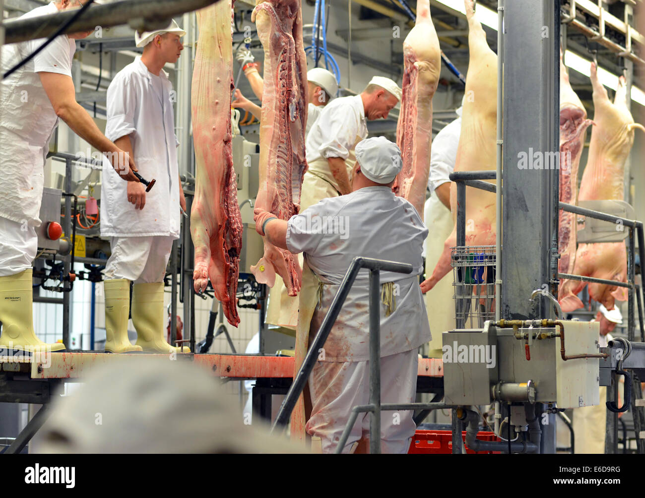 Germania, Sassonia-Anhalt, la lavorazione della carne di maiale in un macello Foto Stock