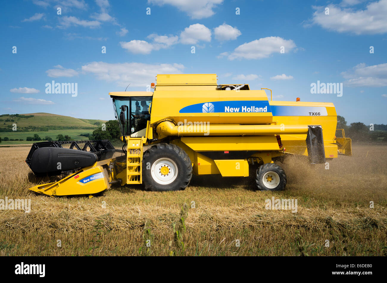 New Holland mietitrebbiatrice di taglio del raccolto di cereali nel Wiltshire Foto Stock