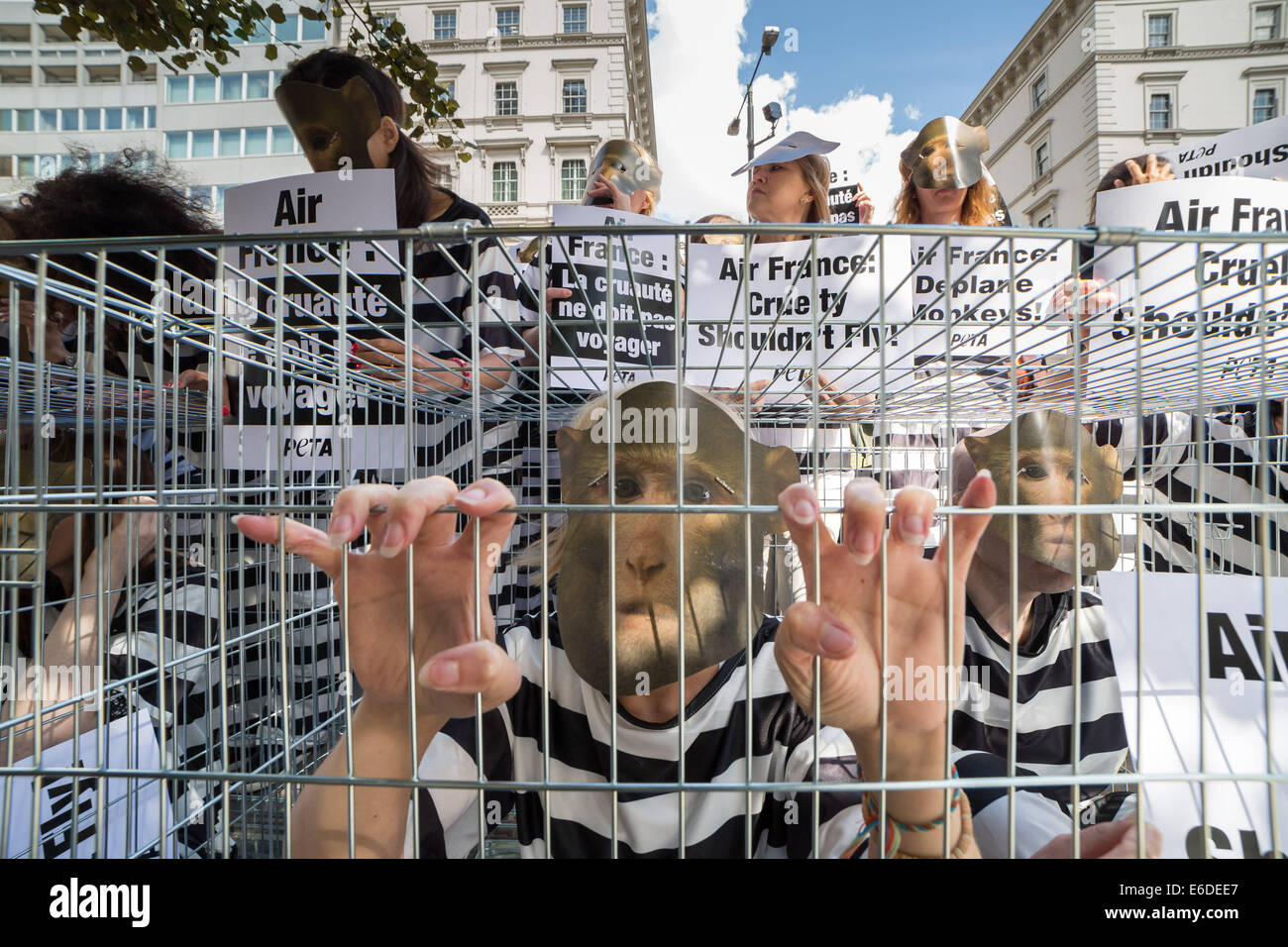 Londra, Regno Unito. 21 agosto 2014. PETA ‘Monkey Cage’ Air France Cargo protesta fuori dall’Ambasciata francese. Credit: Guy Corbishley/Alamy Live Foto Stock