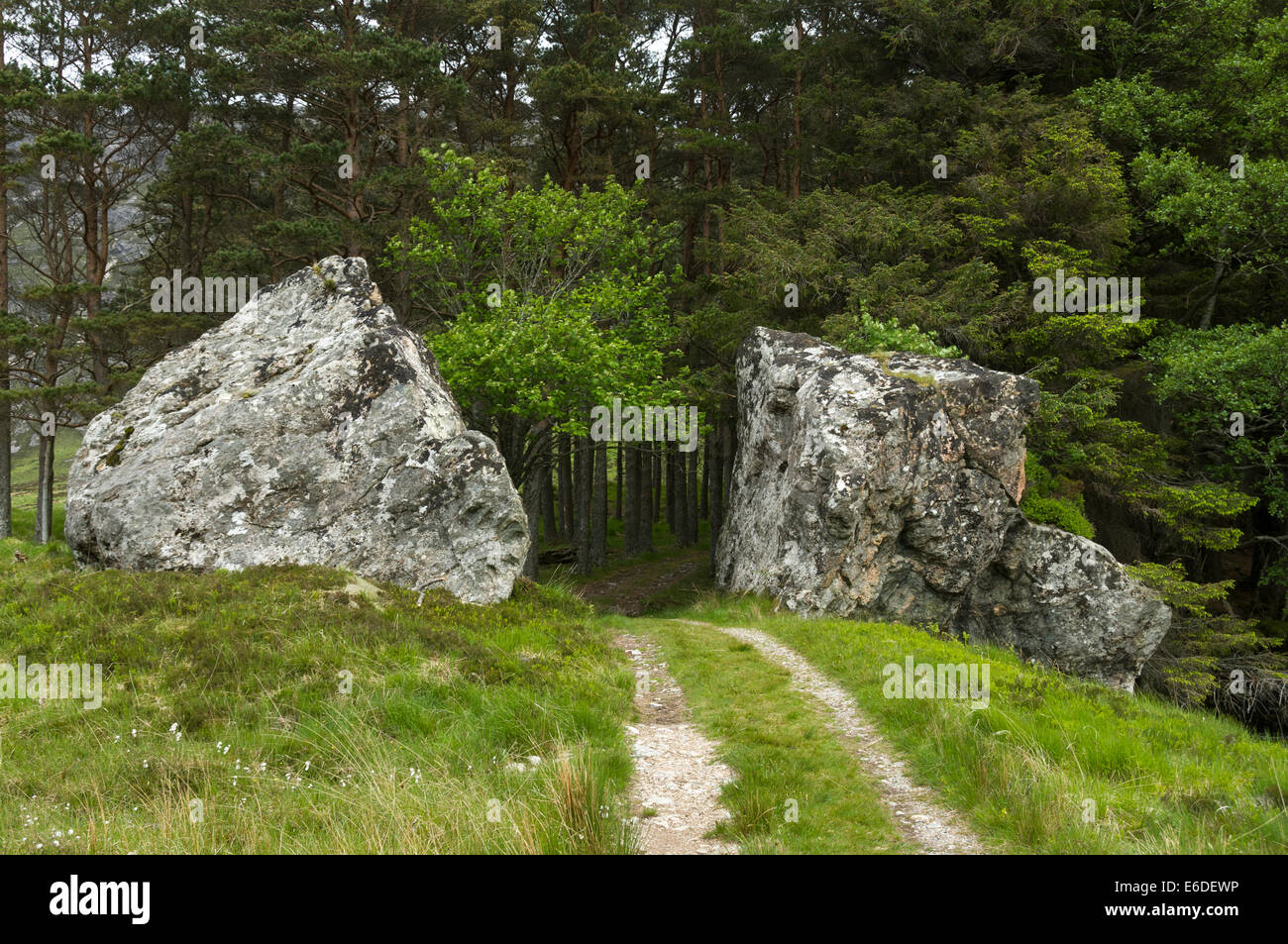 Split boulder sul Corno Allt via vicino a Lone, Loch Stack, Sutherland, Scotland, Regno Unito Foto Stock