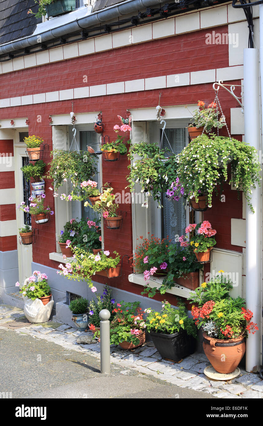 Antica casa di pescatori con finestre e fiori in Rue des Moulins, St Valery sur Somme, Somme Picardia, Francia Foto Stock