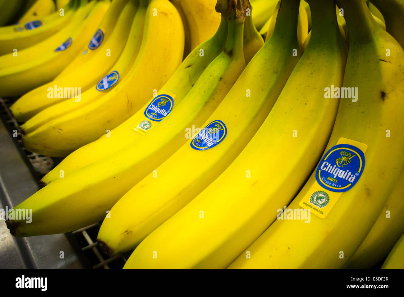 Marchio Chiquita Banana è visto in un supermercato a New York Foto Stock