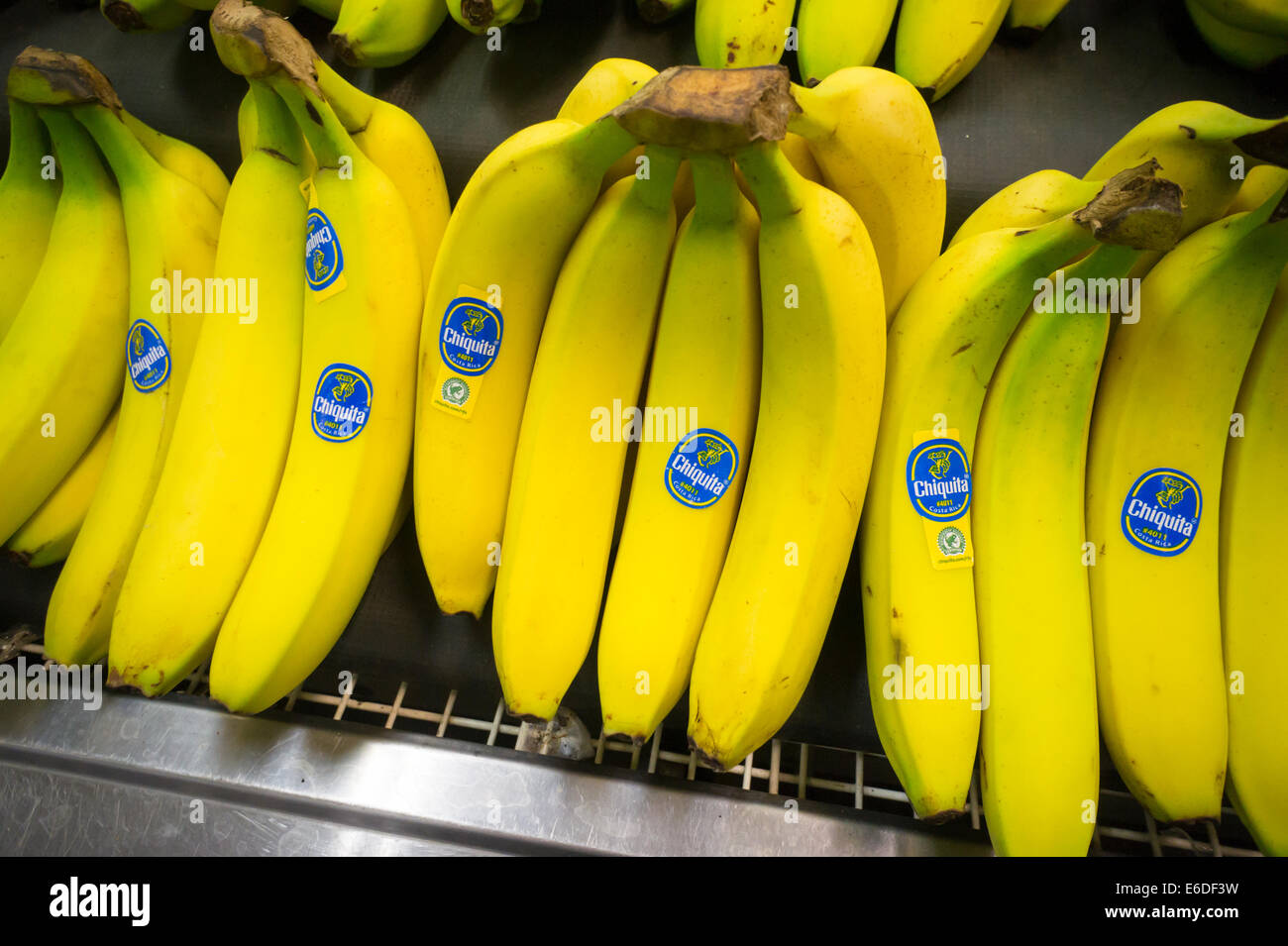 Marchio Chiquita Banana è visto in un supermercato a New York Foto Stock