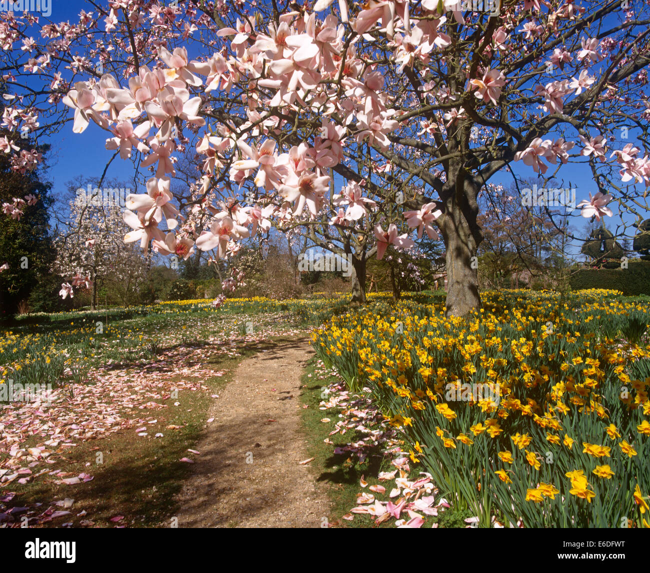 Nymans gardens EAST SUSSEX REGNO UNITO Foto Stock