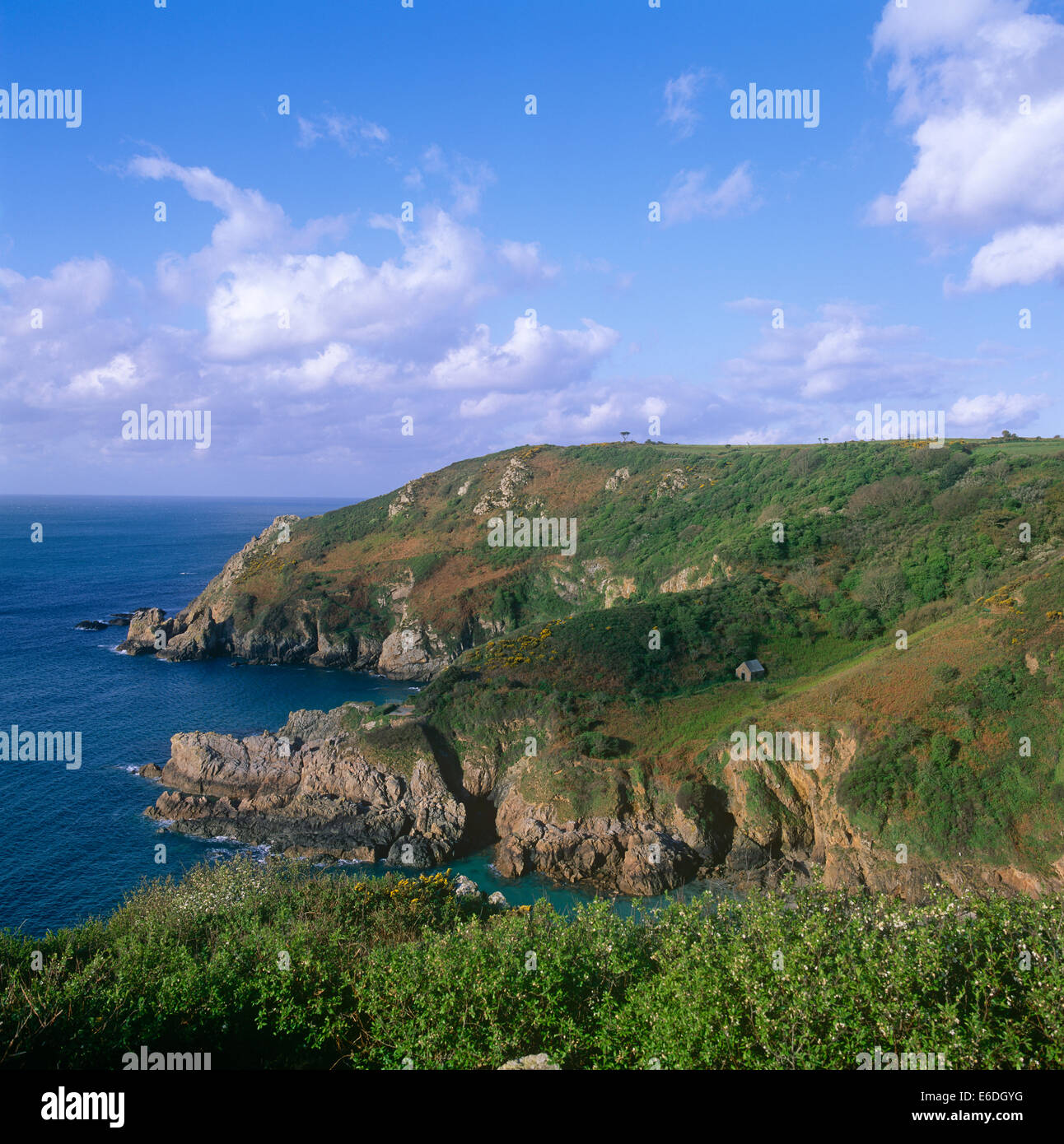 Forest petit bot a Guernsey Isole del Canale della Manica UK Foto Stock