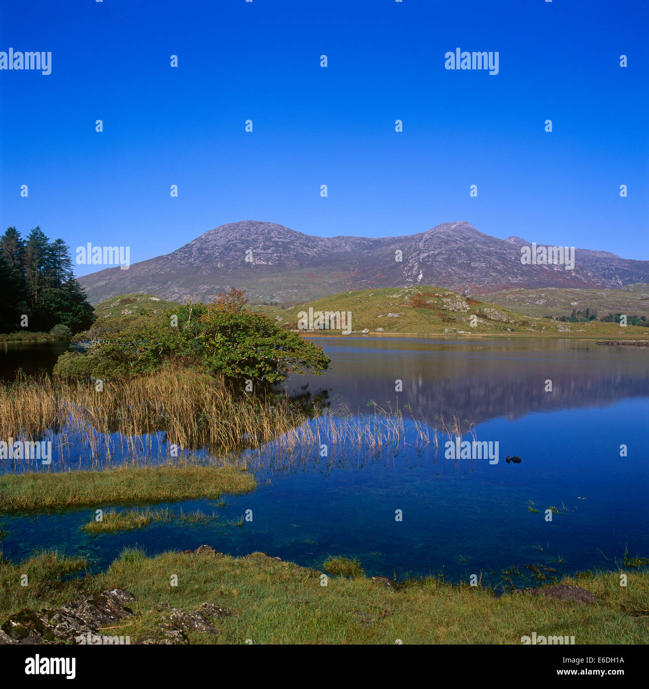 View Near Roundstone Connemara County Galway Irlanda Foto Stock