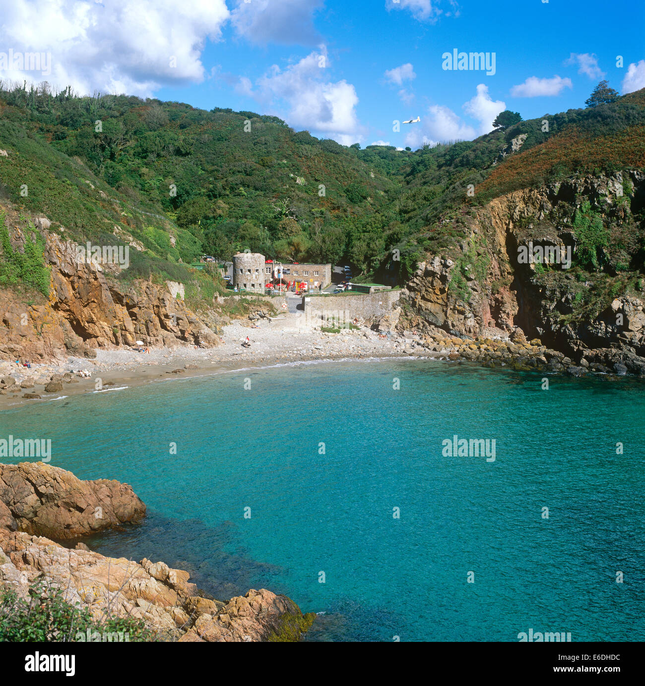Petit Bot Bay Forest nelle Isole del canale di Guernsey Foto Stock
