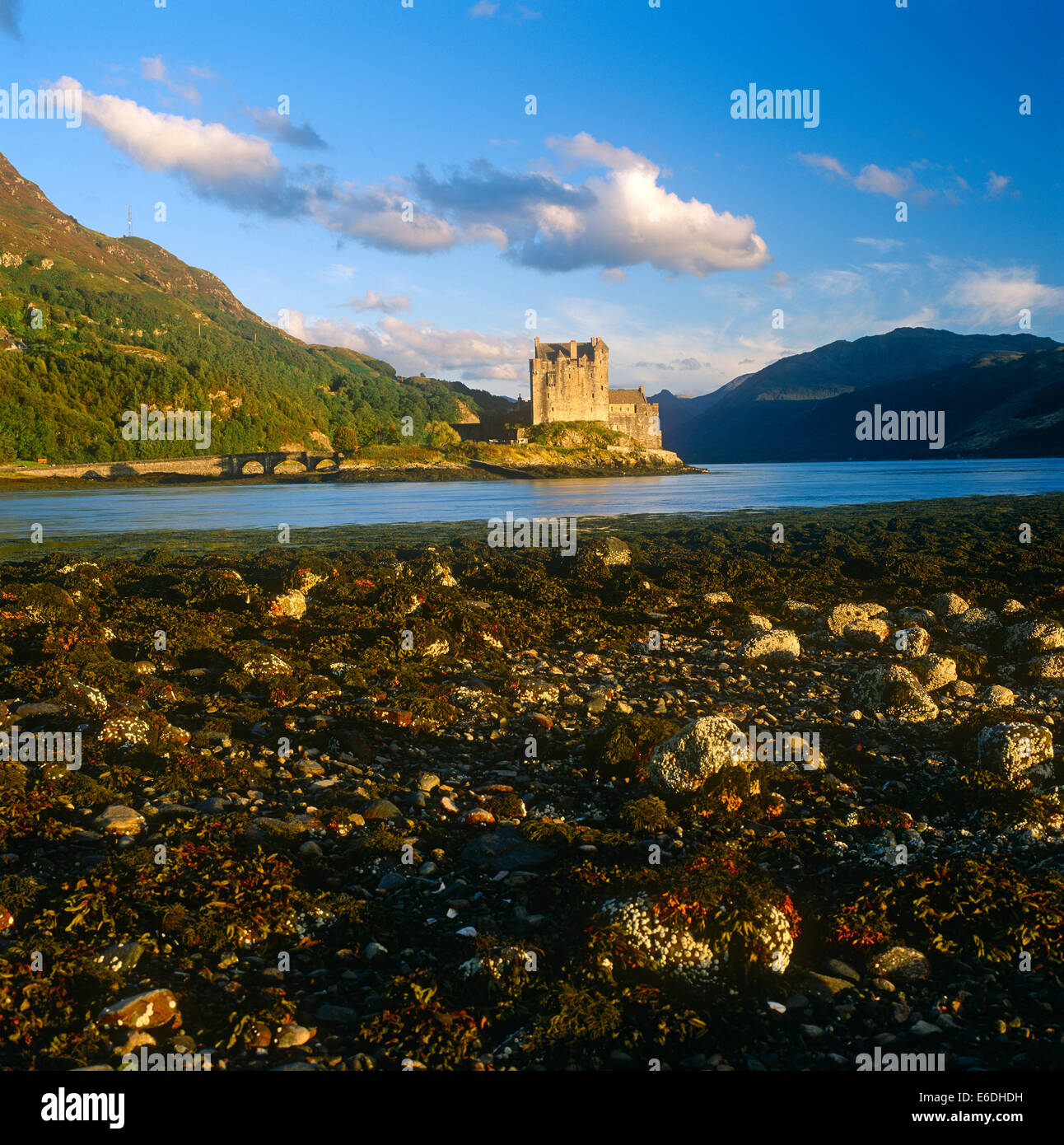 Eilean Donan Castle duich Scotland Regno Unito Foto Stock