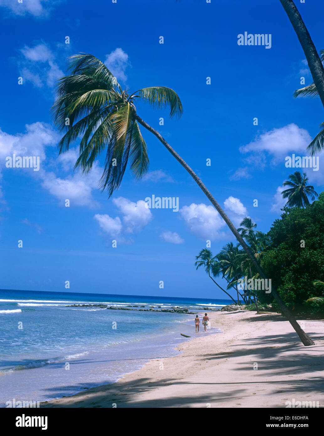 Spiaggia di Gibbs Mullins Bay Barbados Foto Stock