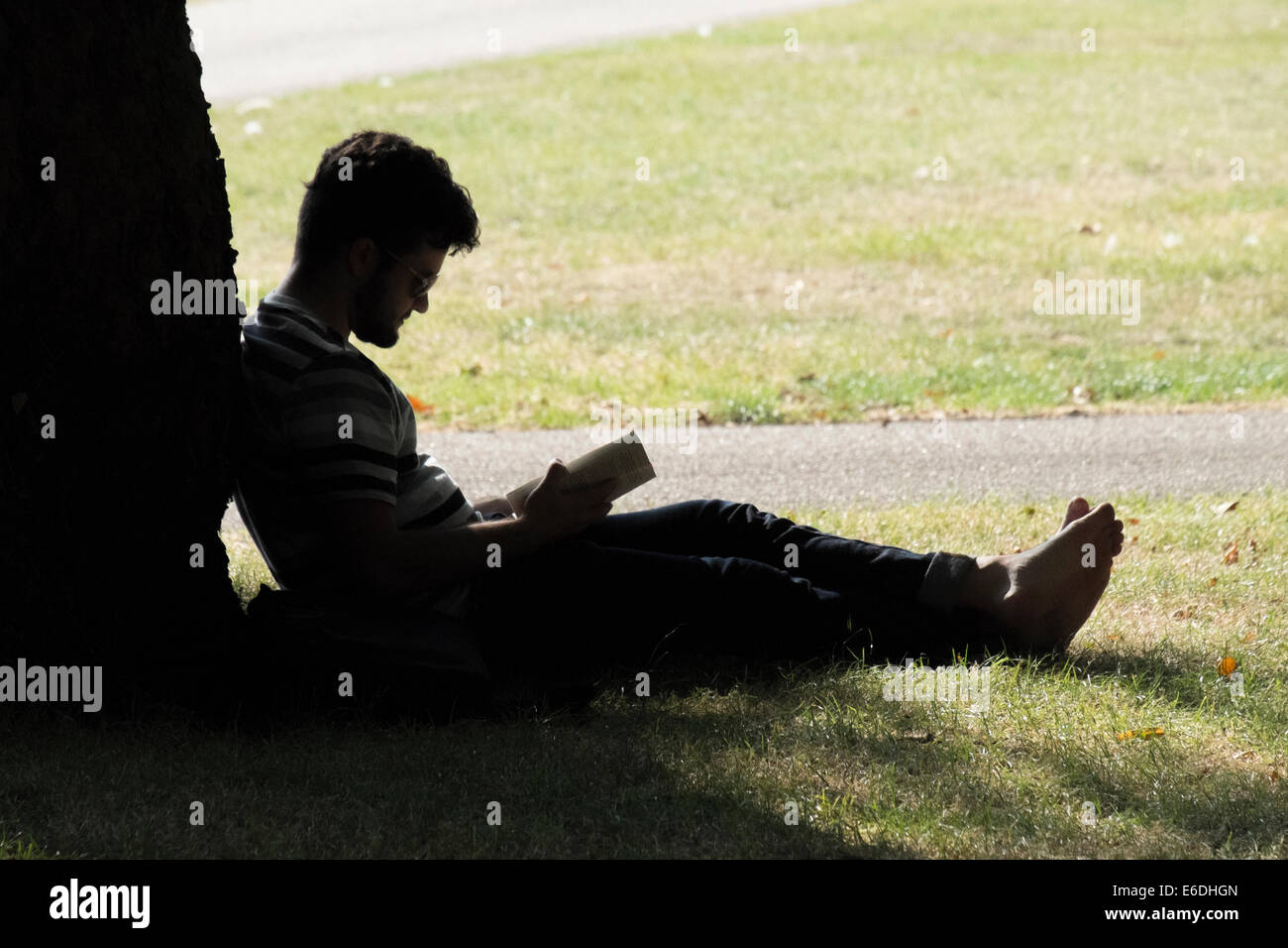 Silhouette immagine di un uomo che la lettura di un libro su un estati calde nel pomeriggio in Hyde Park Londra REGNO UNITO Foto Stock