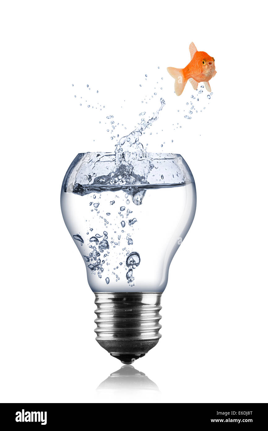 Pesce il concetto di lampadine Foto Stock