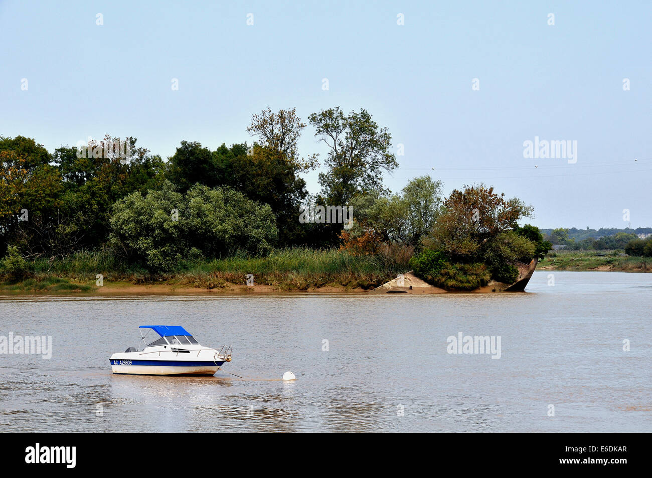 Piccola isola sull'estuario della Gironda, Aquitania, Francia Foto Stock