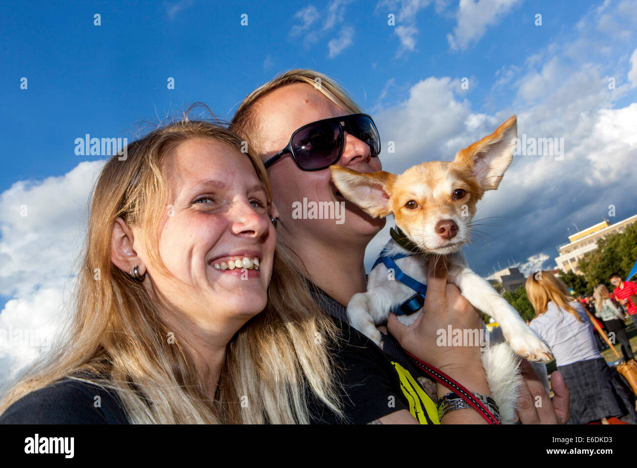 Coppia con il cane piccolo Praga, cane della Repubblica Ceca che guarda il cane da macchina fotografica grandi orecchie appuntite Foto Stock