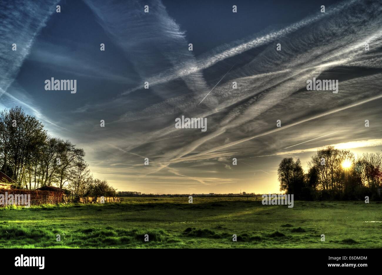 Un paesaggio di campagna in HDR, che mostra alberi, pascoli e prati sotto un cielo estivo con contrafforti visibili, catturando l'essenza della tranquillità rurale e della natura. Foto Stock