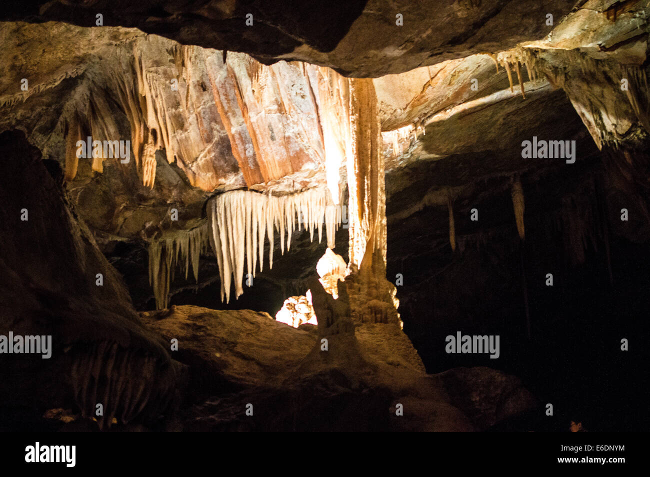Caverne di Jenolan cristallizzazione Foto Stock