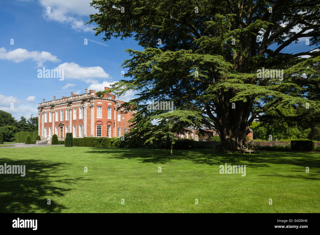 Cottesbrooke Hall accanto a un enorme Cedro del Libano albero piantato quando la casa è stata costruita nel 1702, Northamptonshire, Inghilterra Foto Stock