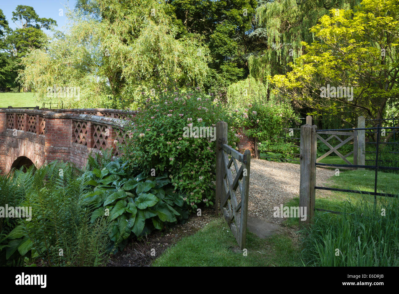 Un cancello aperto accanto a fioritura caprifoglio e ponte decorativo in 'Wild Garden' di Cottesbrooke Hall, Northamptonshire, Inghilterra Foto Stock