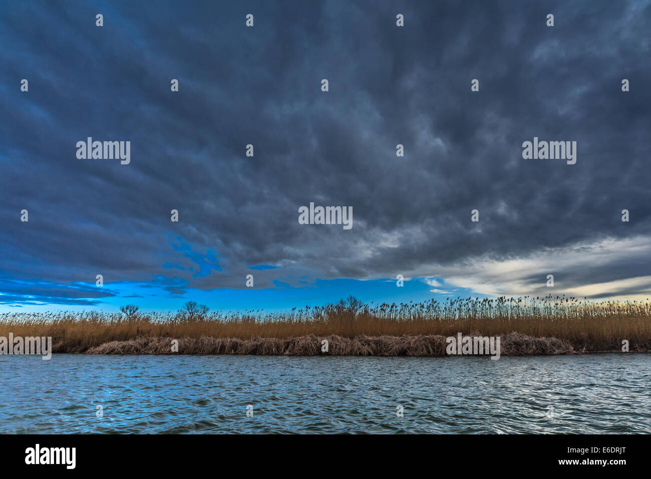 Il Delta del Danubio, Romania Foto Stock