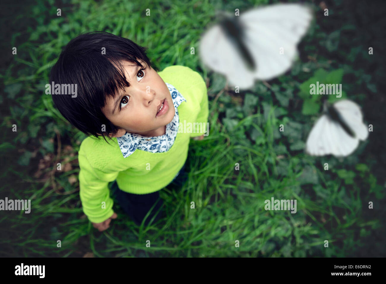 Bel bambino guardando il bianco farfalle in una foresta Foto Stock