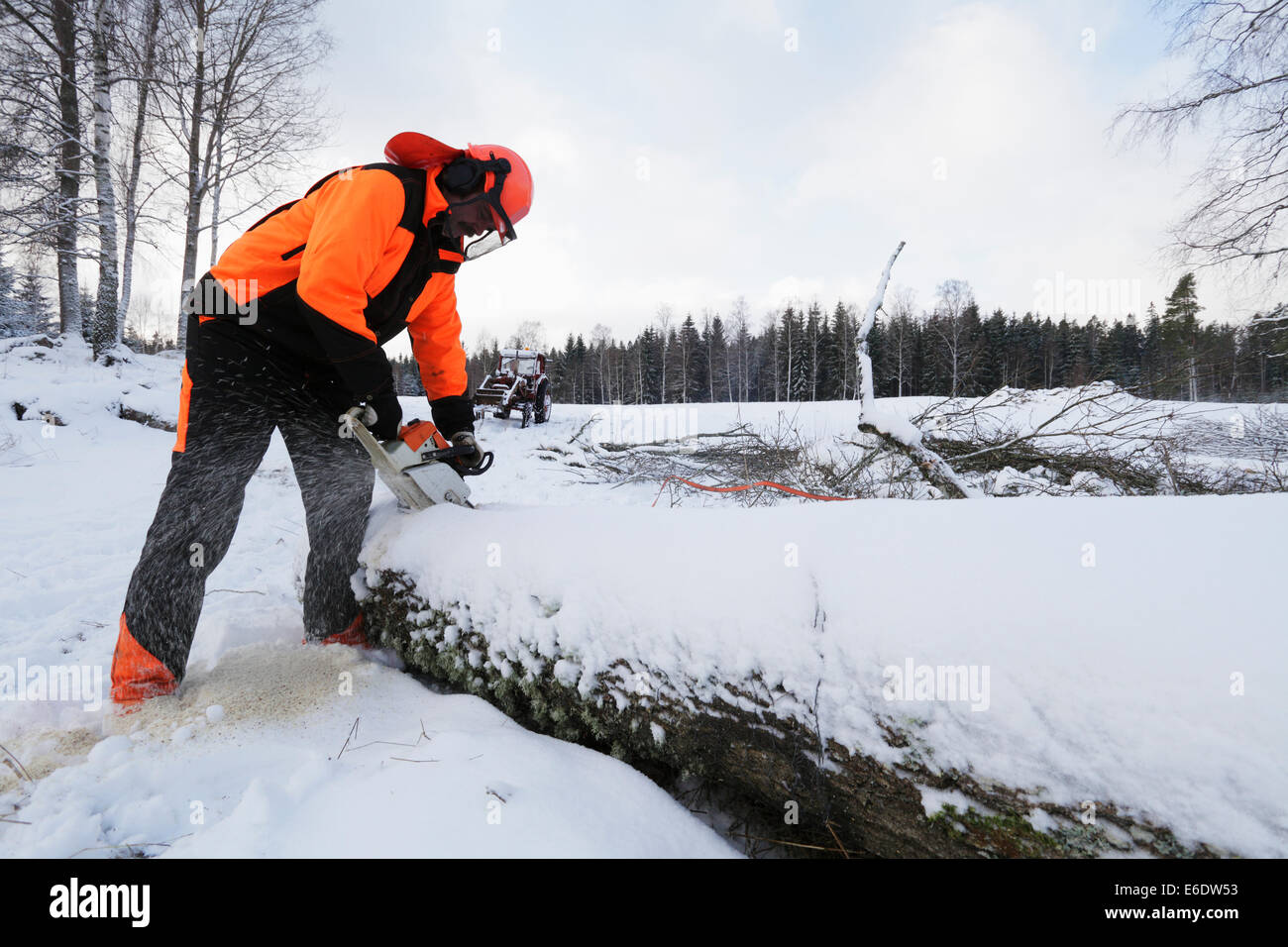 Tree-cutter lavorando in nevoso inverno condizioni Foto Stock
