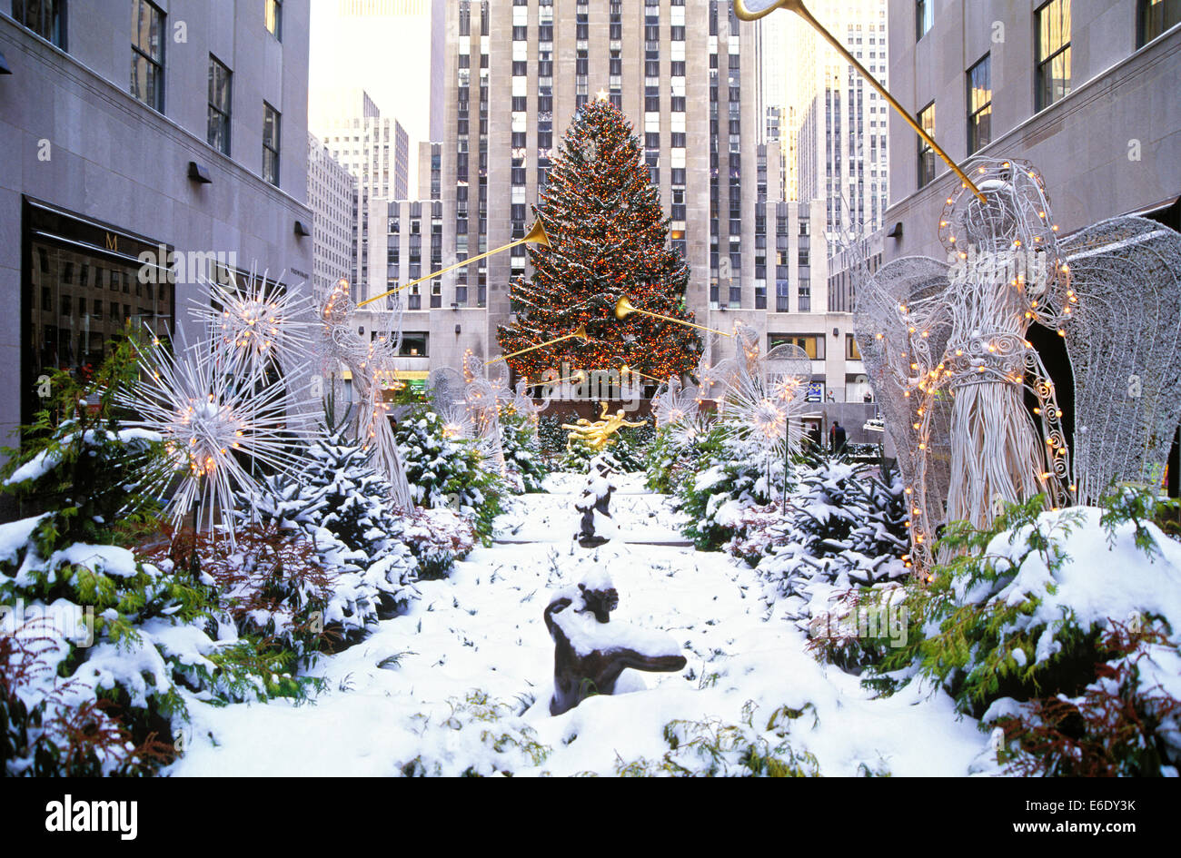 Rockefeller Center Natale.Albero Di Natale Rockefeller Center Manhattan New York Stati Uniti D America Foto Stock Alamy