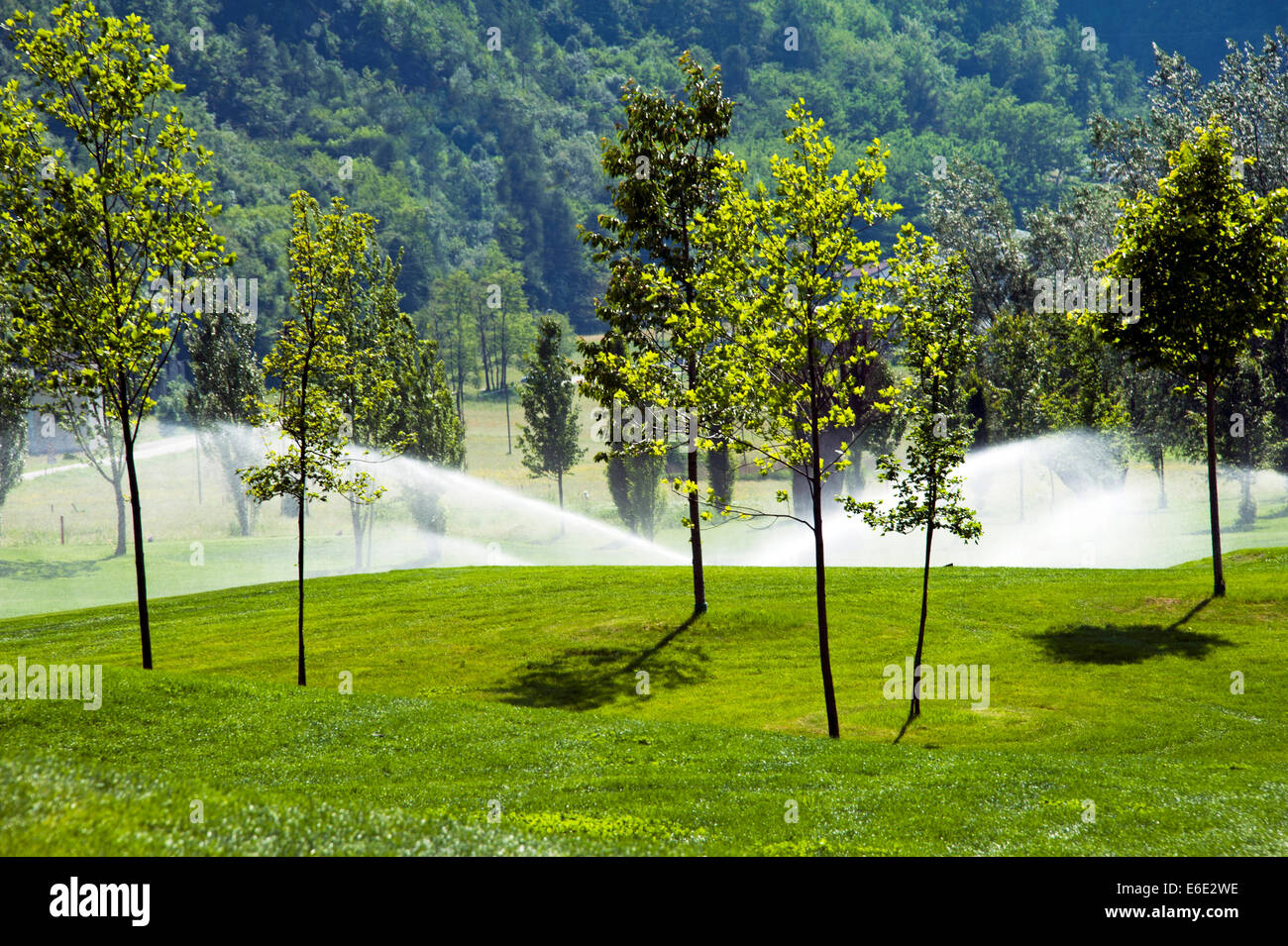 Irrigatori irrigazione sul campo da golf di prima mattina la luce. Foto Stock