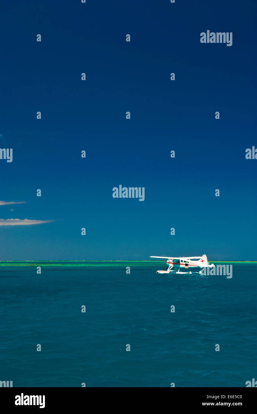 Figura di galleggiamento, della Grande Barriera Corallina, Sito Patrimonio Mondiale dell'UNESCO, Queensland, Australia Foto Stock