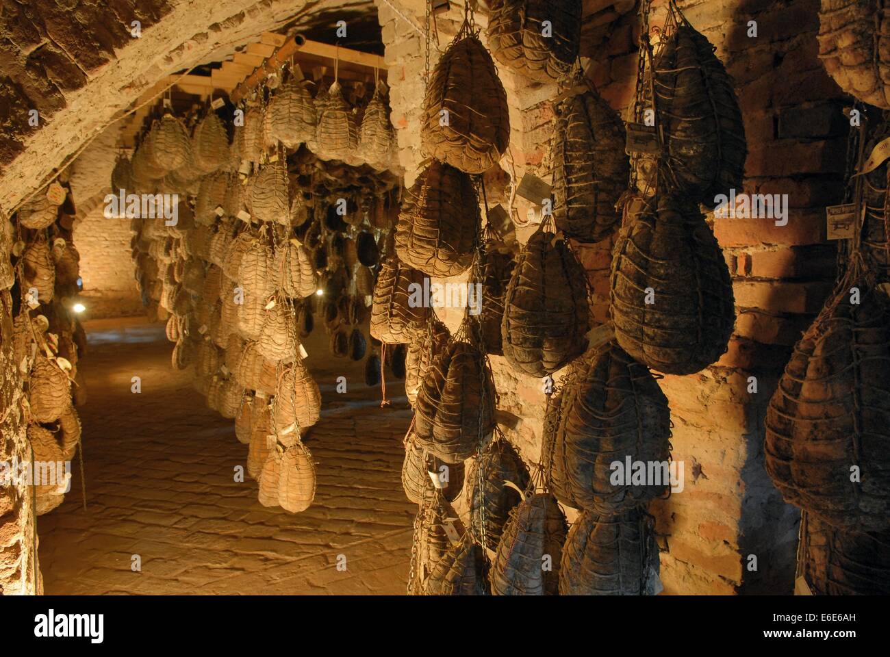 Polesine Parmense (Emilia Romagna, Italia) cantina di invecchiamento del 'culatello' tipico prosciutto Foto Stock