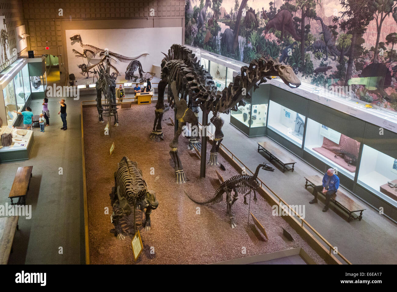 Peabody del Museo di Storia Naturale università di Yale Foto Stock