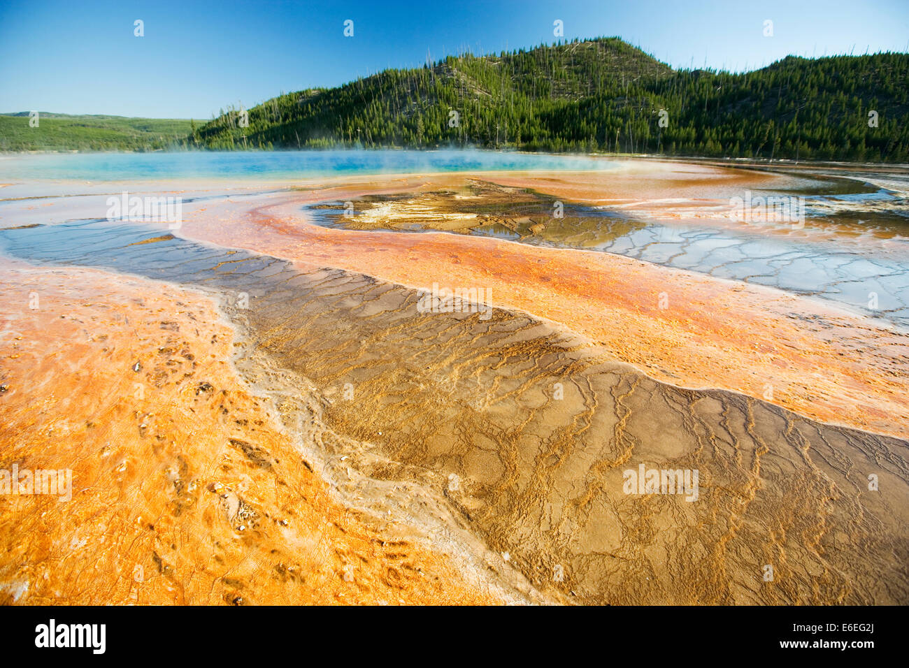 Molla geotermica Yellowstone National Park, STATI UNITI D'AMERICA Foto Stock