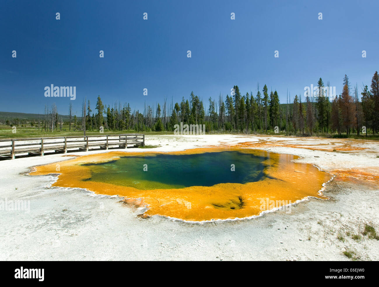 Calda piscina geotermica presso il Parco Nazionale di Yellowstone, STATI UNITI D'AMERICA Foto Stock