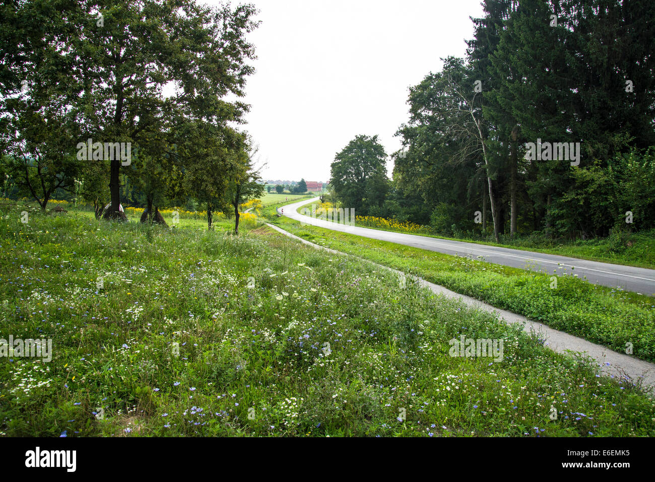 Campagna idilliaca in Slavonia occidentale vicino a Vocin, Croazia Foto Stock
