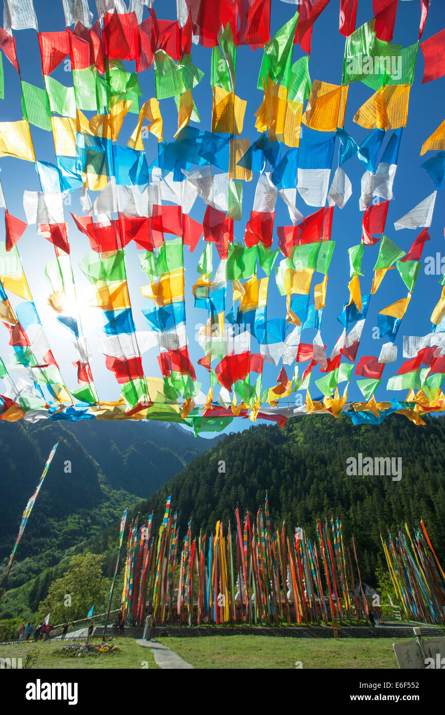 Colorati bandiere di preghiera appesi in Jiuzhaigou, Cina Foto Stock