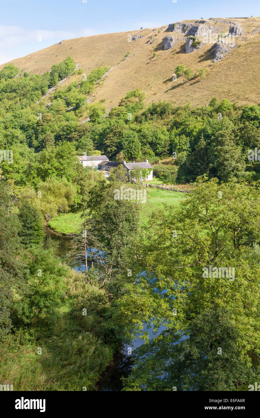 House e il fiume Wye nel bosco nel Derbyshire Dales. Una vista di Upperdale, Derbyshire, picco bianco, Parco Nazionale di Peak District, England, Regno Unito Foto Stock