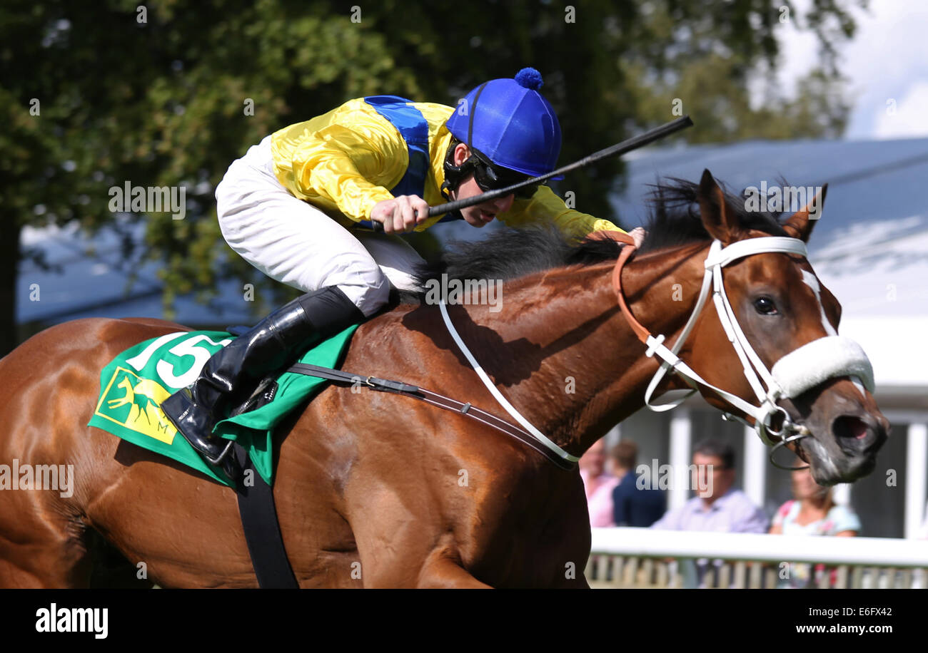 Newmarket, Regno Unito. Il 22 agosto, 2014. Chiusura del corso di luglio il giorno 1. Tannaaf sotto Pat Cosgrave vincendo il TRM Eccellenza nella Nutrizione Equina EBF Stalloni Maiden Stakes Credit: Azione Plus sport/Alamy Live News Foto Stock