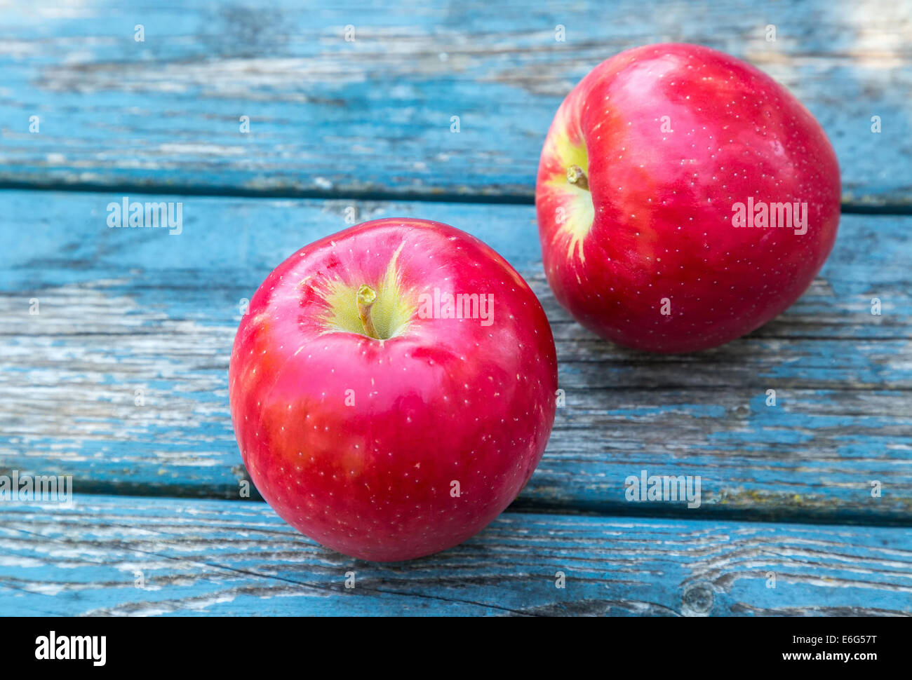 Rosso Honeycrisp mature mele fresche dall'azienda. Foto Stock