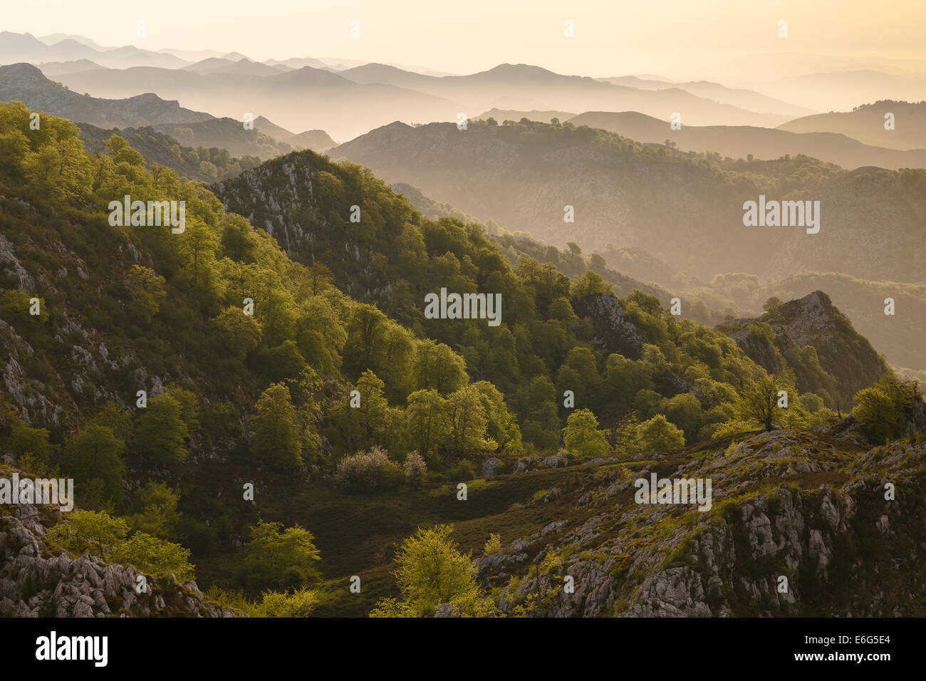Montagne e foreste nei pressi dei laghi di Covadonga. Parco Nazionale di Picos de Europa. Asturias Provenza. Spagna. Europa Foto Stock