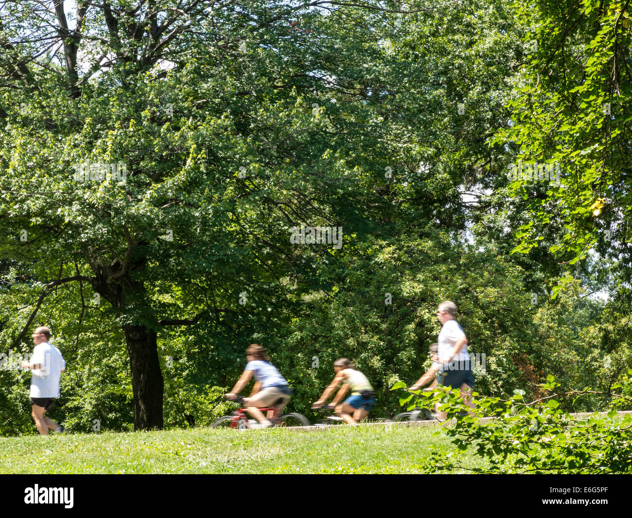 Per gli amanti del jogging e attività all'aperto, West Drive, Central Park, NYC Foto Stock