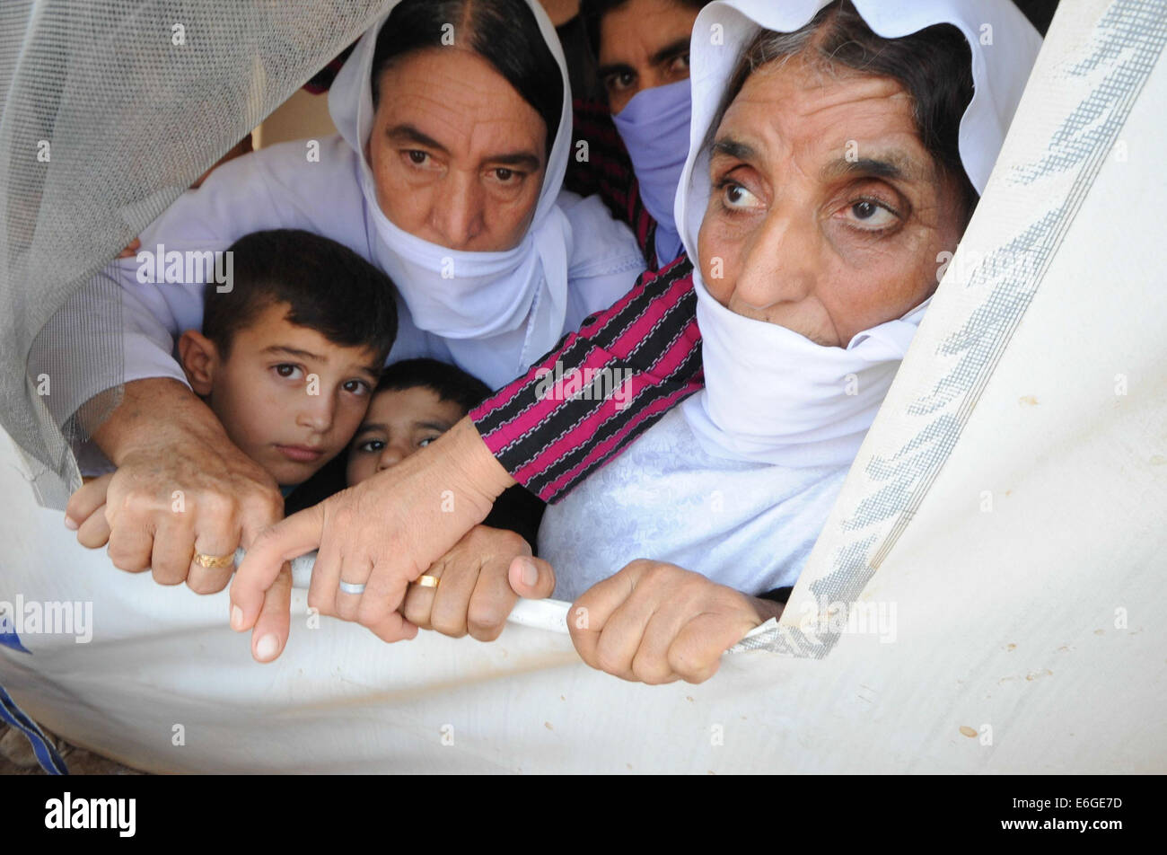 Zakho, Iraq. Il 22 agosto, 2014. Migliaia di Yazidi a Zakho campo profughi stanno facendo un appello per una migliore di migliori condizioni di vita. Il camp attualmente non dispone di servizi igienici adeguati facility in posto per i rifugiati a prendersi cura della loro igiene. Essi devono utilizzare la loro unica fonte di acqua per fare il bagno e la cucina, potabile non separare gli impianti sono a posto. Credito: Gail Orenstein/ZUMA filo/Alamy Live News Foto Stock