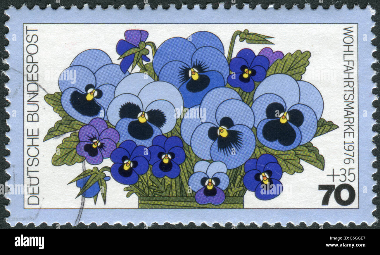 Germania - circa 1976: francobollo stampato in Germania, mostra una fioritura viola tricolore, circa 1976 Foto Stock