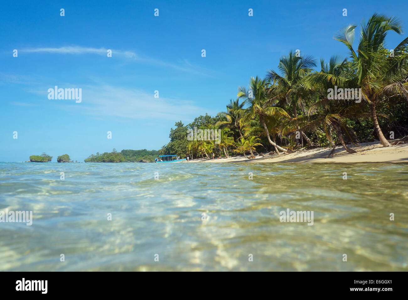 Spiaggia caraibica con palme da cocco visto dalla superficie del mare, Panama America Centrale Foto Stock