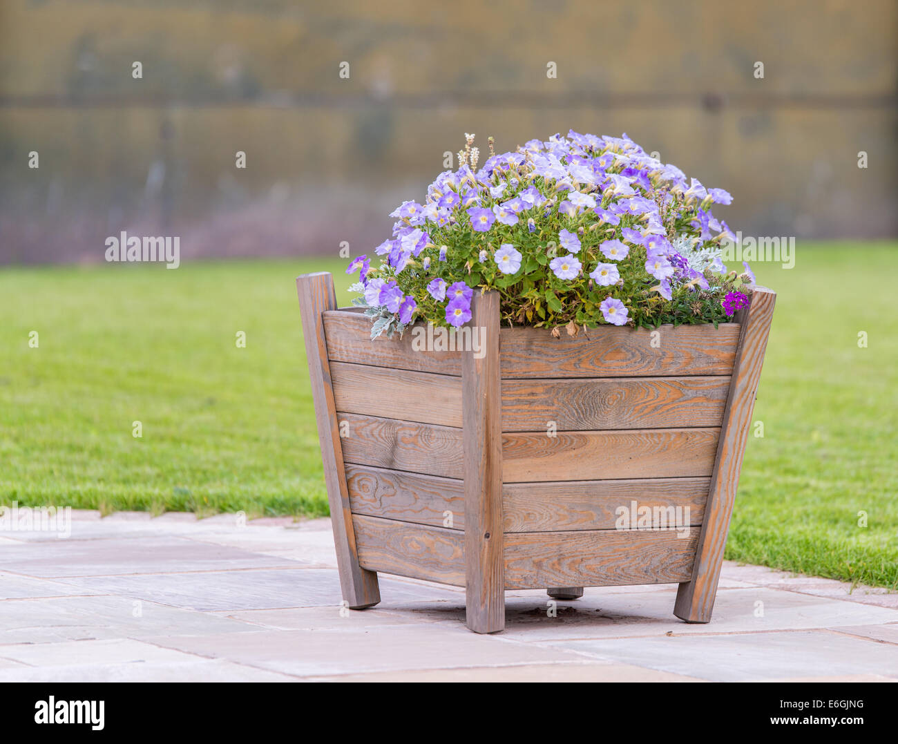 Piantatrice di legno con fiori viola sul patio Foto Stock