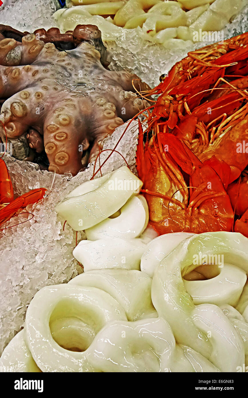 Octopus,anelli su e aragosta esposti alla vendita su ghiaccio. Foto Stock