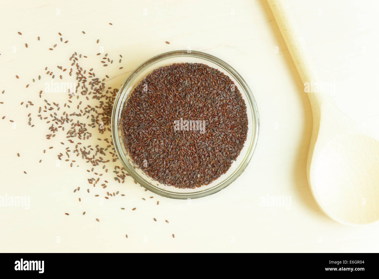 Seme dello Psyllium Foto Stock