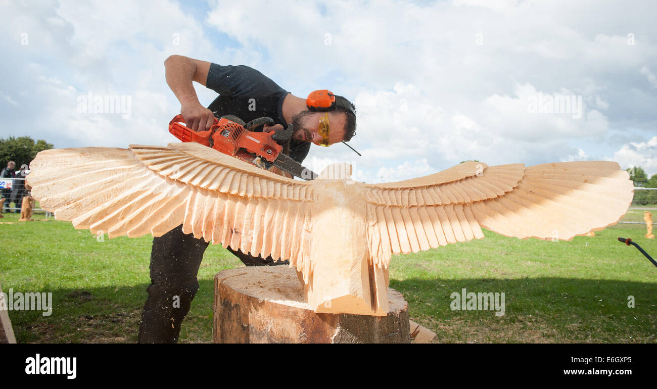 Knutsford, Cheshire, Regno Unito. 23 Ago, 2014. Carver, Danny Thomas del Galles competere nel decimo English Aperto Chainsaw Carving concorrenza a Cheshire Showground, Knutsford. Parte del gioco di Cheshire e fiera di paese che continua oltre il lunedì festivo. Credito: Howard Barlow/ Alamy Live News Foto Stock