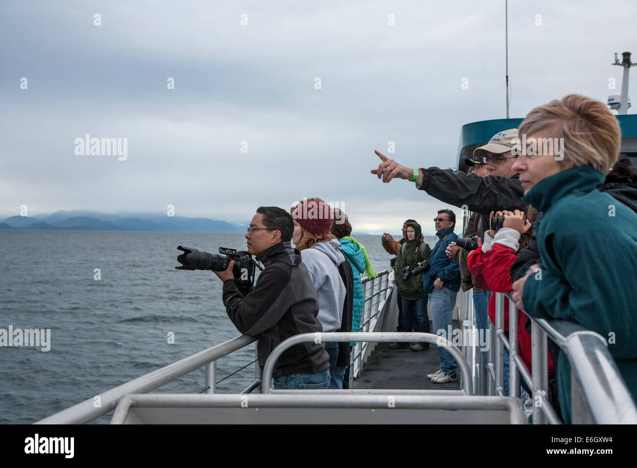 I passeggeri di navi da crociera andare a guardare le balene vicino Auke Bay, Alaska. Foto Stock