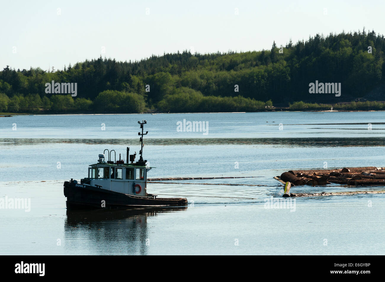 Elk203-4299 Canada, British Columbia, Port Edward, stretto di Hecate, barca di traino braccio di registro Foto Stock