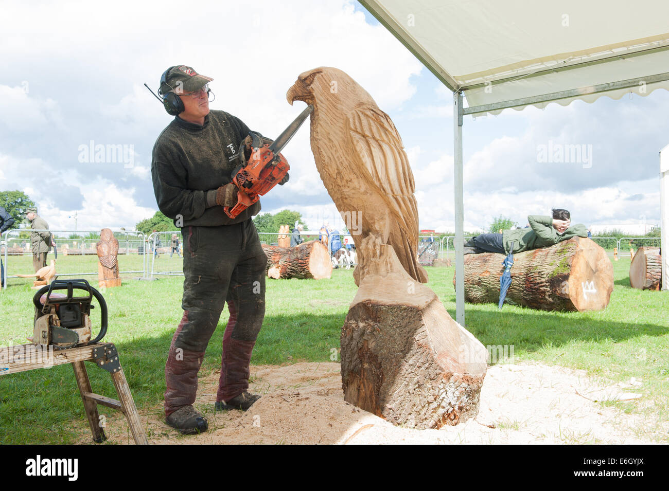 Knutsford, Cheshire, Regno Unito. 23 Ago, 2014. Carver, Tim Burgess di Inghilterra competere nel decimo English Aperto Chainsaw Carving concorrenza a Cheshire Showground, Knutsford. Parte del gioco di Cheshire e fiera di paese che continua oltre il lunedì festivo. Credito: Howard Barlow/ Alamy Live News Foto Stock