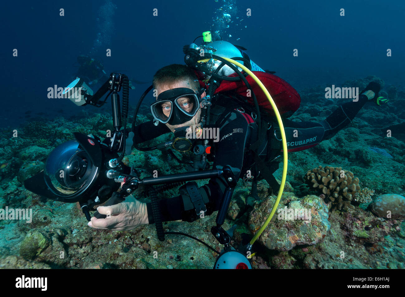 I fotografi subacquei nelle Maldive, Oceano Indiano Foto Stock