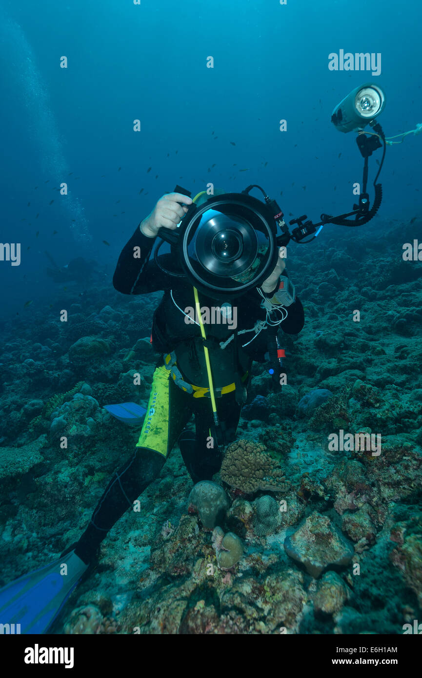 I fotografi subacquei nelle Maldive, Oceano Indiano Foto Stock